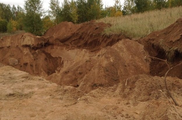 В Локнянском районе прокурор добился взыскания компенсации причинённого ущерба окружающей среде