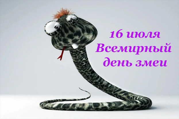 Международный день Змеи!